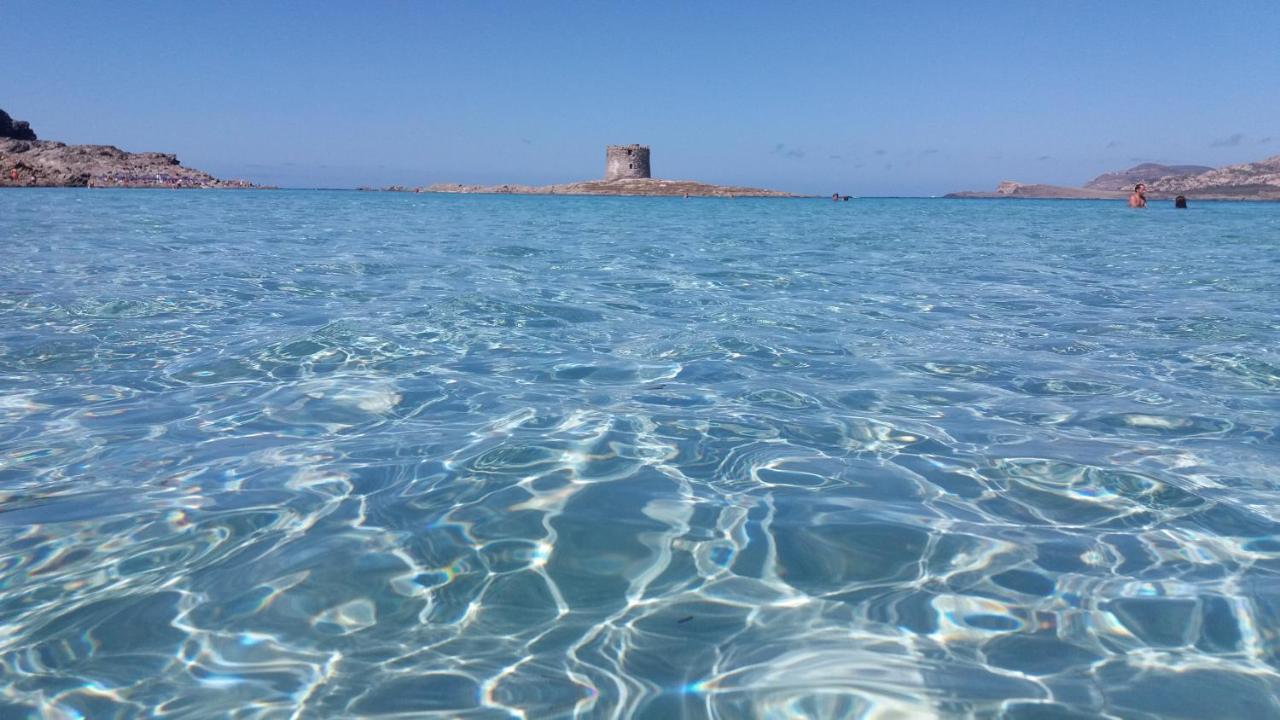 B&B Giomar Sardegna Nord Ovest Campanedda Dış mekan fotoğraf
