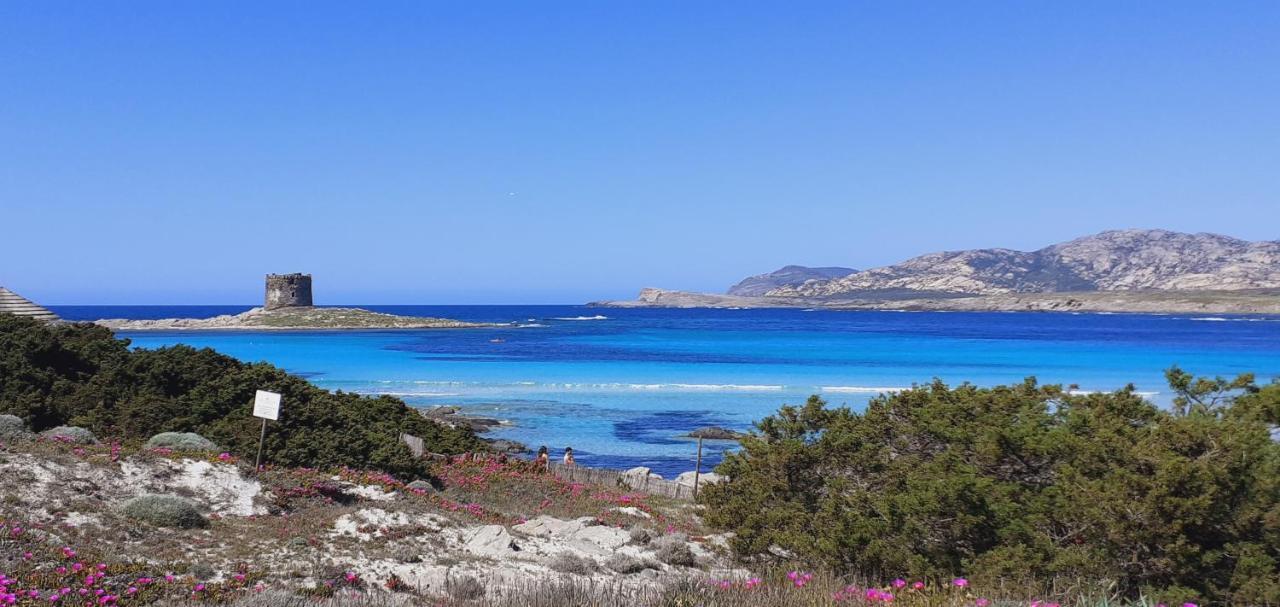 B&B Giomar Sardegna Nord Ovest Campanedda Dış mekan fotoğraf